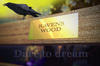 Ravens Wood Video Logo