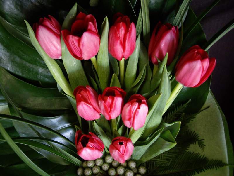 Minto Florist