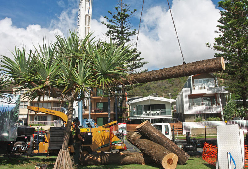 Frontier Tree Services