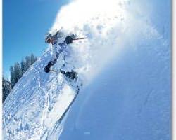 Mogul Ski World