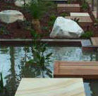 Greenology