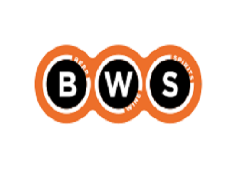 BWS Hocking logo