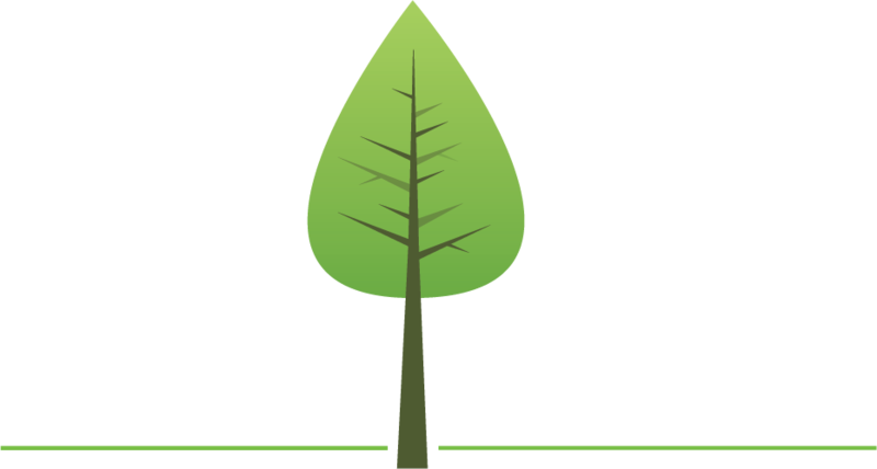 247 Trees logo