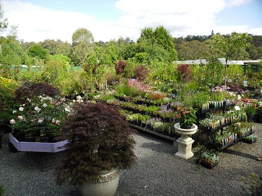 Emerald Gardens Nursery