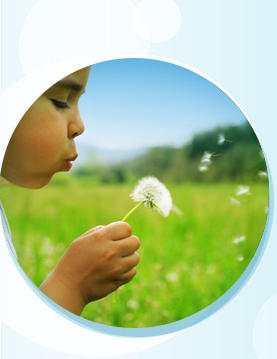 Life Insurance Quotes Direct