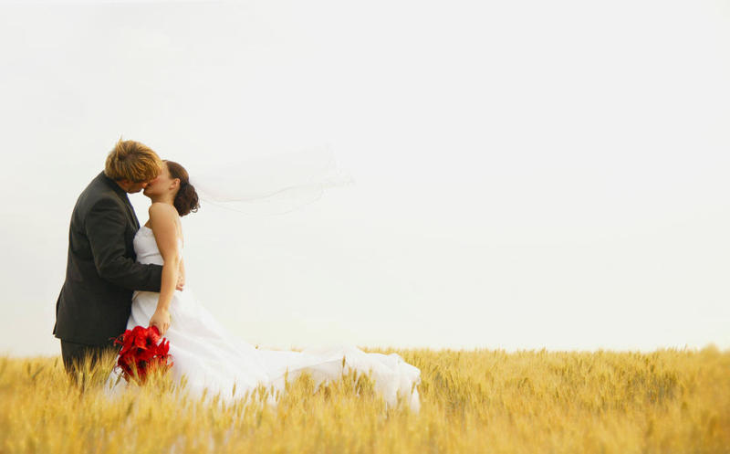 NQ Wedding Planners
