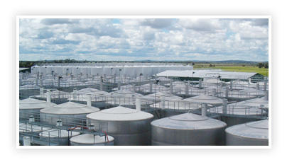 Enviro Qld