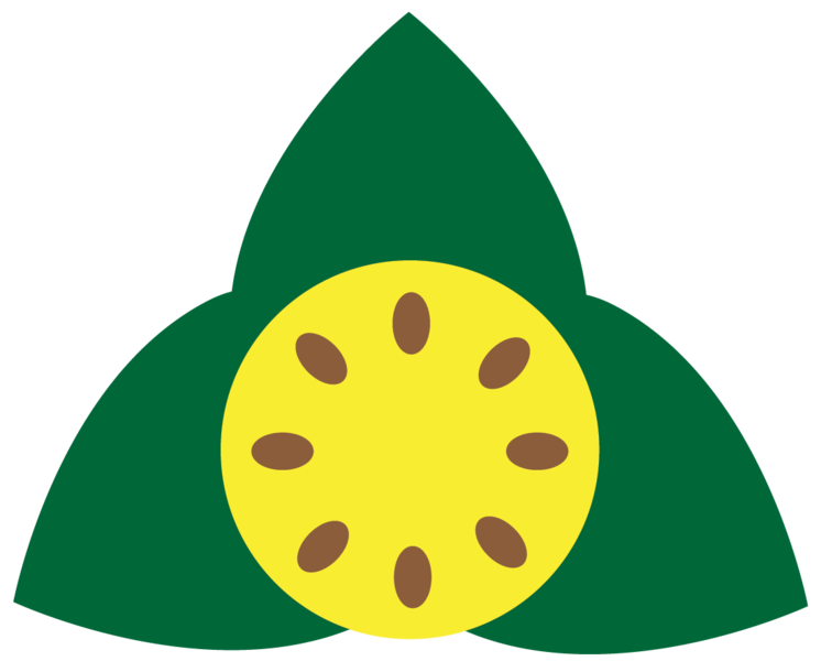 Kura Chinese Medicine