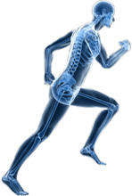 Benchmark Physiotherapy: Rosebery