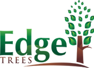 Edge Trees: Carlton