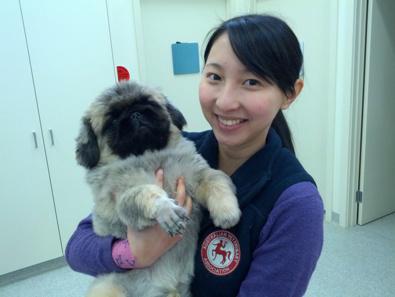 Macedon Ranges Veterinary Clinic