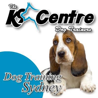 The K9 Centre: Sydney South East