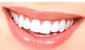 Cherrygum Dental
