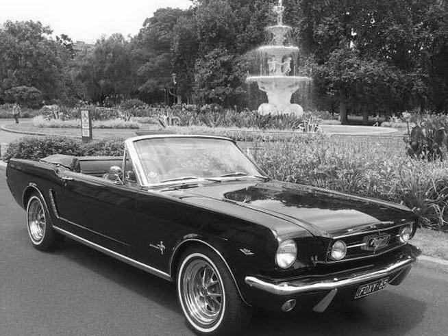 Foxy Mustangs Pty Ltd