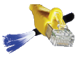 Aca Communications Pty Ltd: Port Macquarie