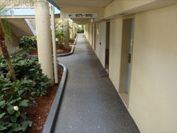 Ace Domestic Services