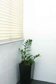 Tiling Solutions