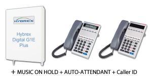 Phoenix Telephone and Data Services Pty Ltd