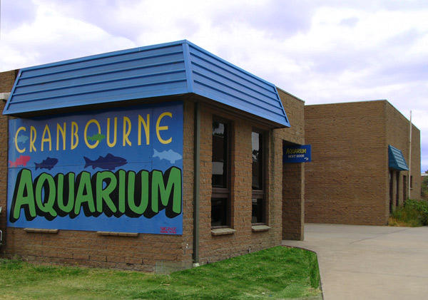 Aquariums and Reptiles At Cranbourne