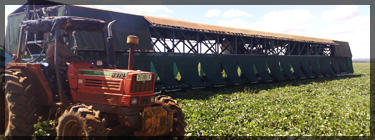 Agri Labour Suppliers
