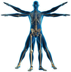 North West Physiotherapy: Everton Park