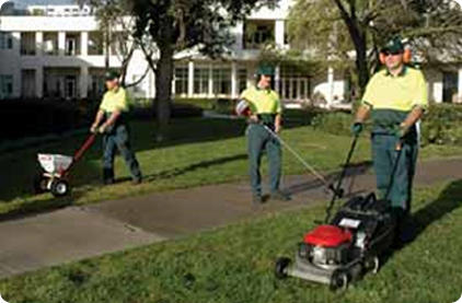 Jim's Mowing Sydney: Hillsdale