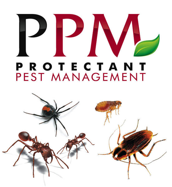 Protectant Pest Management: Loganholme