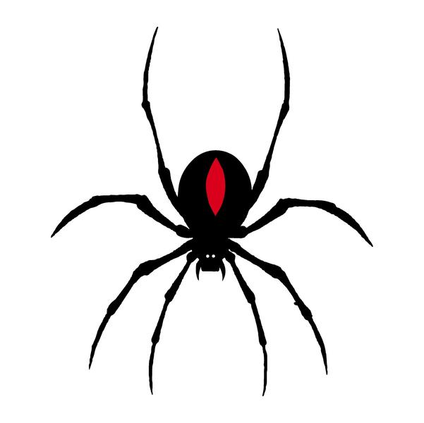Mudgee Pest Service