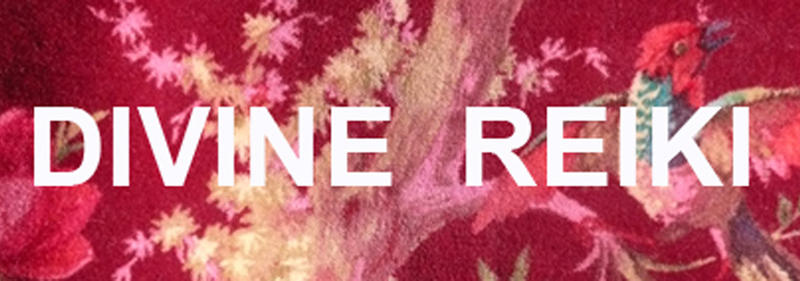 Divine Reiki logo