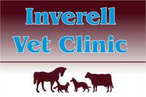 Inverell Vet Clinic
