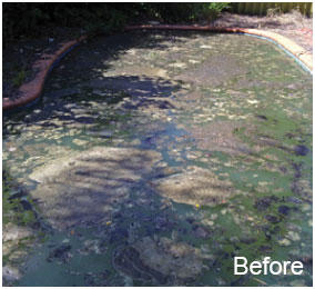 Perth Pool Cleaning