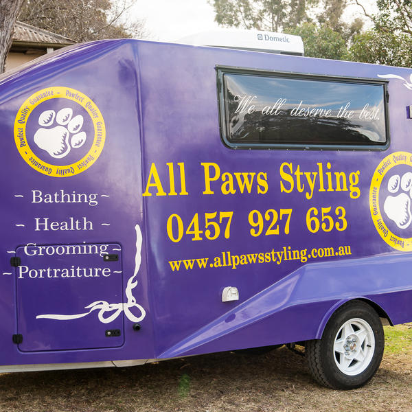All Paws Styling