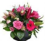 Bees Florist