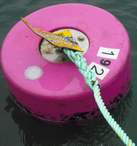 GP Marine: Bolton Point