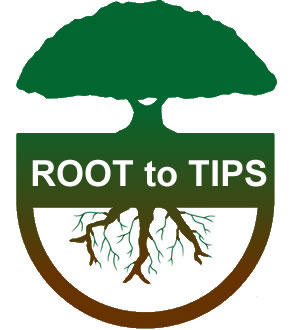 Root To Tips logo