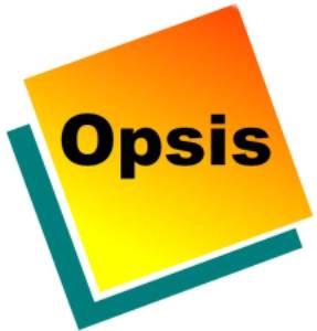 Opsis