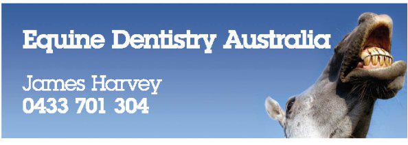 Equine Dentistry Australia: James Harvey