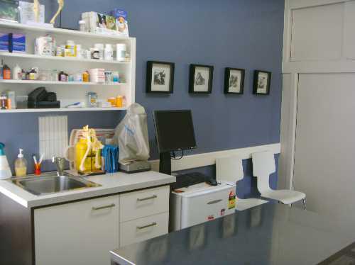 Wollondilly Animal Hospital