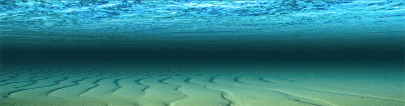 Southcoast Hypnotherapy