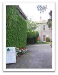 St Kilda Kinesiology
