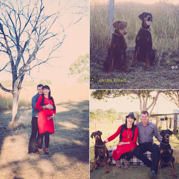 Katrina Elliott Photography