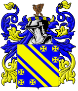 Bingham Plumbing & Gas logo