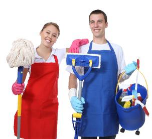 Carpet Steam Cleaner