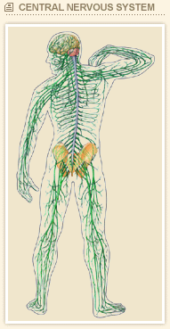 Unique Healing Therapy