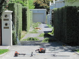 Peter McKinlay Gardening & Mowing