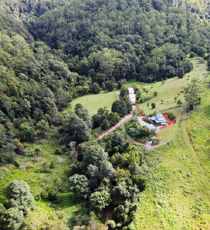 Mt Warning Forest Hideaway