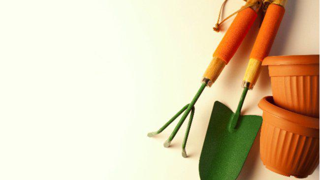 Willow Professional Landscape Gardeners