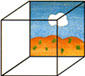 Picture Box Pty Ltd: Collingwood logo