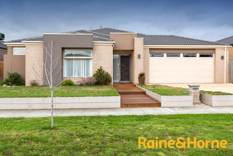 Raine & Horne: Lyndhurst