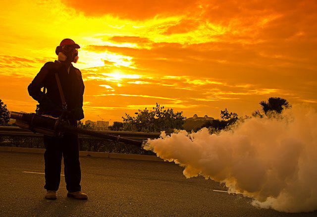Authentic Termite & Pest Management